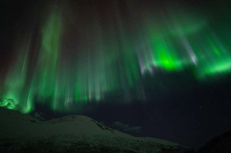 Tromsø: Adult Only Aurora hunt with Citizen Science - End of Tour and Return Options