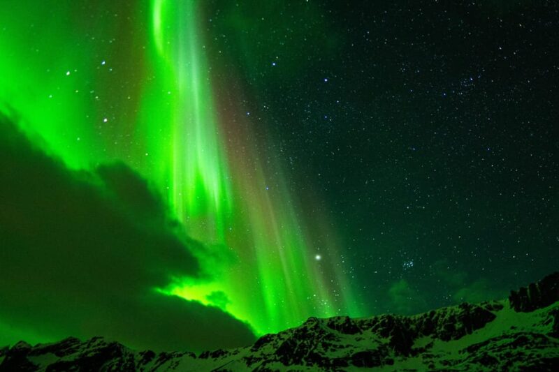 Tromsø Adventurous Northern Lights Small-Group - Experience the Arctic Wilderness from the Warm Bus