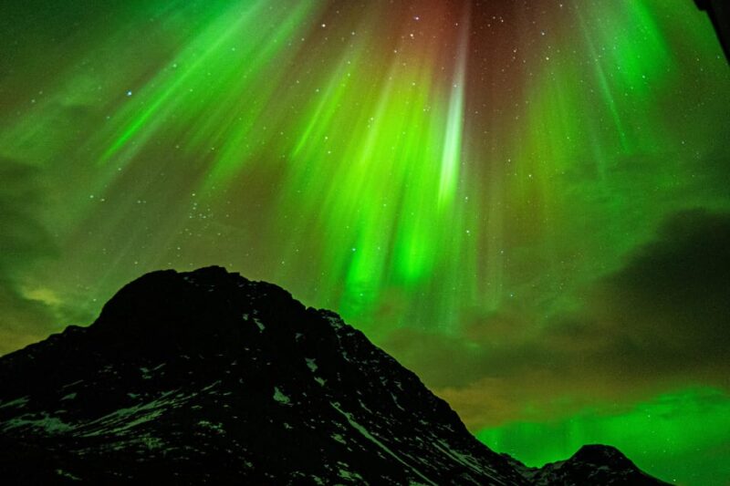 Tromsø Adventurous Northern Lights Small-Group - Practical Tips for the Arctic Night Experience