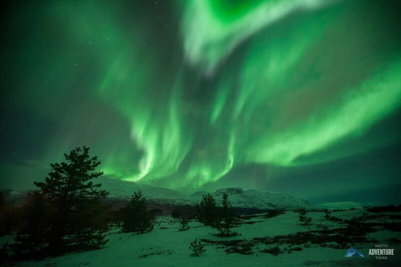 Tromsø: All-Inclusive Northern Lights Hunt - The Hot Meal and Campfire Experience