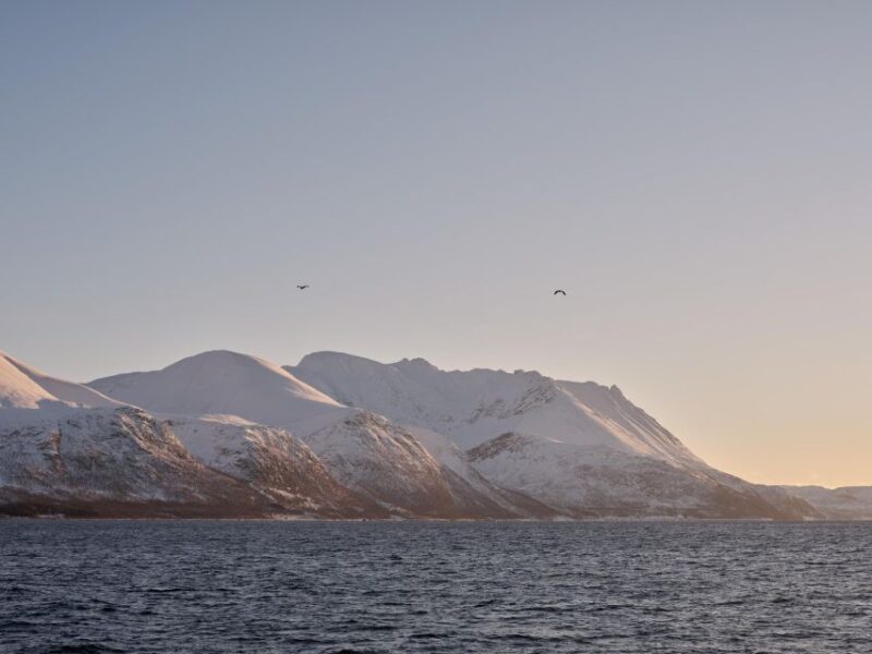 Tromsø: Arctic Fjord Cruise in Polar Landscapes - Photography Tips and Scenic Highlights