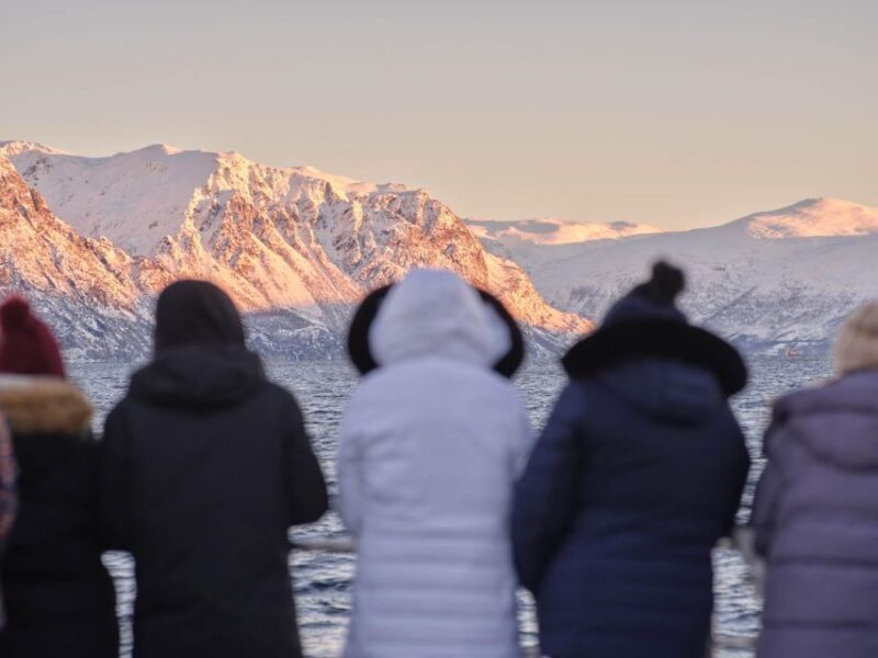 Tromsø: Arctic Fjord Cruise in Polar Landscapes - Practical Tips for a Successful Trip