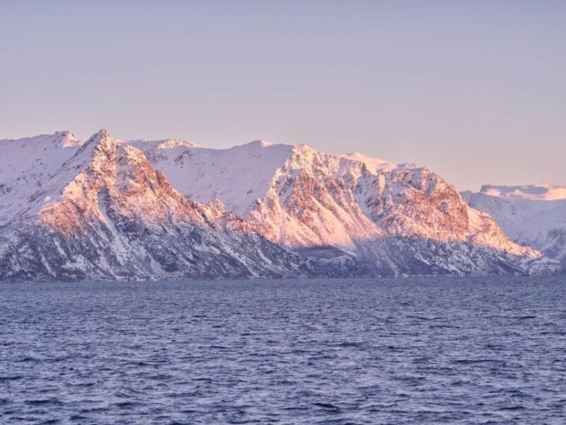 Tromsø: Arctic Fjord Cruise in Polar Landscapes - Why This Tour Stands Out in Tromsø