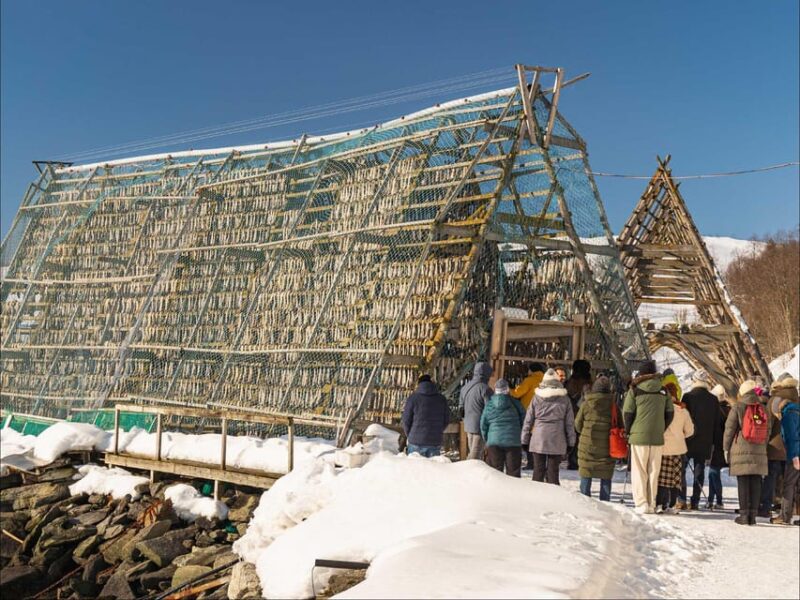 Tromsø: Arctic Fjord Cruise With Stop On Land At Fish Racks - Tromsø: Arctic Fjord Cruise With Stop On Land At Fish Racks