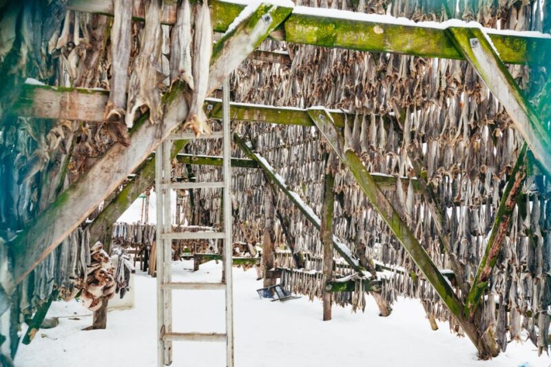 Tromsø: Arctic Fjord Cruise With Stop On Land At Fish Racks - Key Points