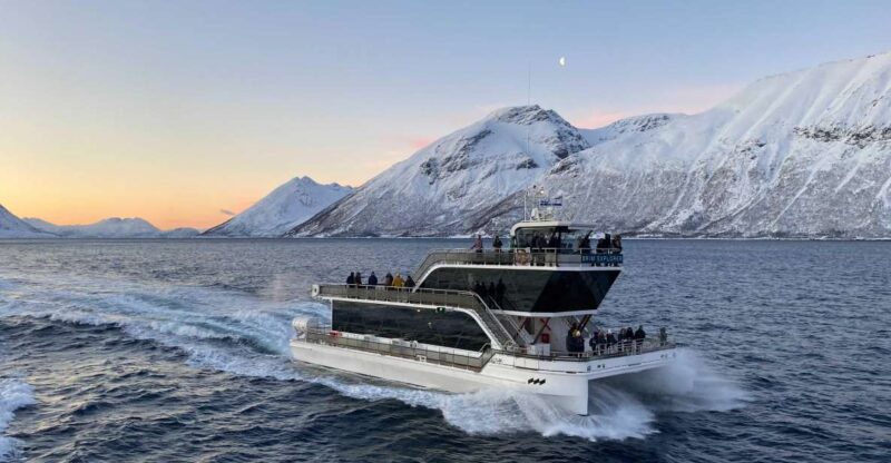 Tromsø: Arctic Fjord Cruise With Stop On Land At Fish Racks - Comfortable Vessels with Excellent Viewing Opportunities