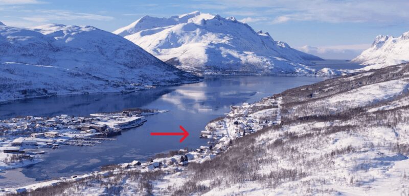 Tromsø: Arctic Fjord Floating in Survival Suit - Practical Tips and Recommendations