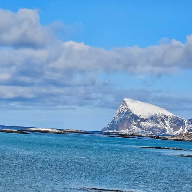 Tromsø: Arctic Fjords Tour. Sommerøya and Kvaløya with Lunch - Lunch and Refreshments with a View