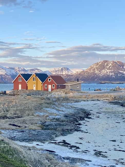 Tromsø: Arctic Fjords Tour. Sommerøya and Kvaløya with Lunch - The Value and Who Would Most Enjoy This Experience