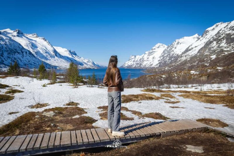 Tromsø: Arctic Fjords Tour to Kvaløya with Panoramic Lunch - Pickup and Meeting Point in Tromsø