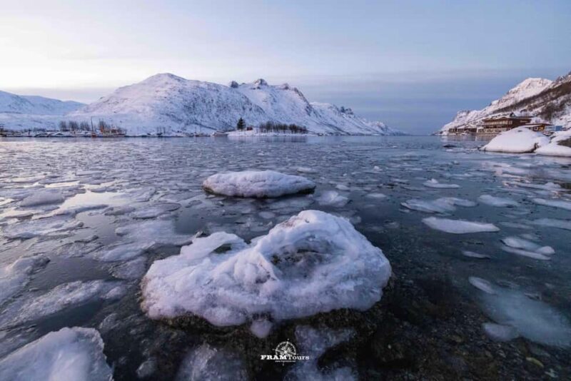 Tromsø: Arctic Fjords Tour to Kvaløya with Panoramic Lunch - The Itinerary’s Structure and Pacing