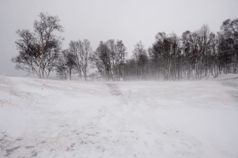 Tromsø: Arctic Landscape and Fjord Tour with Snacks - The Role of Guides and Customer Service