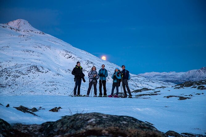 Tromsø: Arctic Landscapes Hiking / Snowshoeing Tour in the wild - Highlighted Stops: Scenic Fjords and Mountain Summits