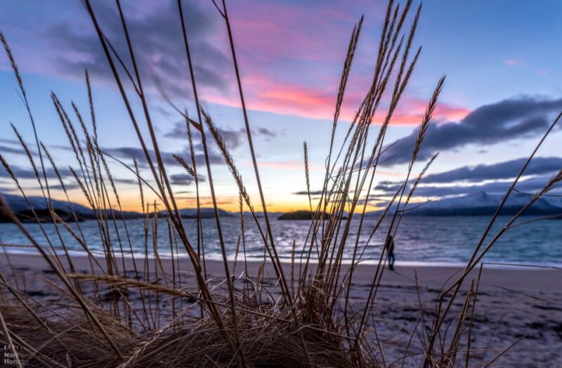 Tromsø: Arctic Nature Roadtrip with Photos & Scenic Lunch - Key Points