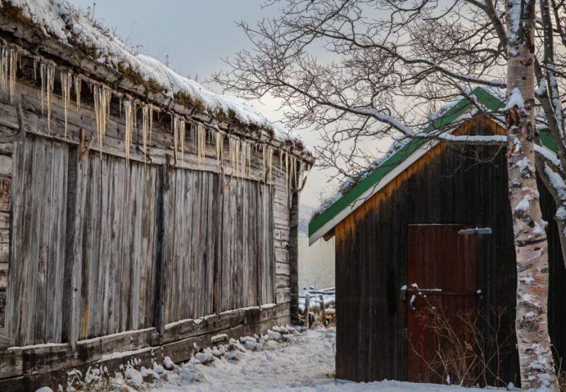 Tromsø: Arctic Nature Roadtrip with Photos & Scenic Lunch - Starting at Magic Ice Bar Tromsø for a Scenic Arctic Adventure