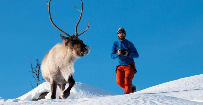 Tromsø: Arctic Nature Roadtrip with Photos & Scenic Lunch - The Cozy Outdoor Lunch and Hot Beverages