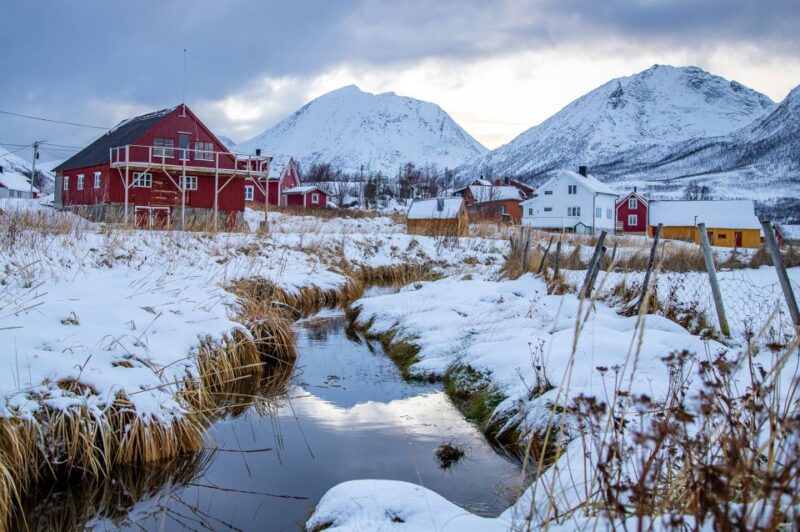 Tromsø: Arctic Nature Roadtrip with Photos & Scenic Lunch - Accessibility and Group Size: Intimate Arctic Exploration