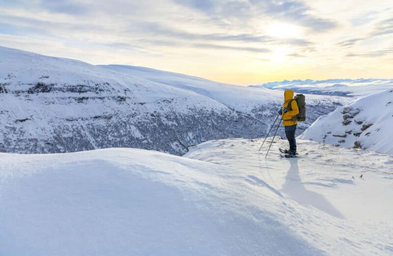 Tromsø: Arctic Sightseeing & Snowshoeing with picnic - Key Points