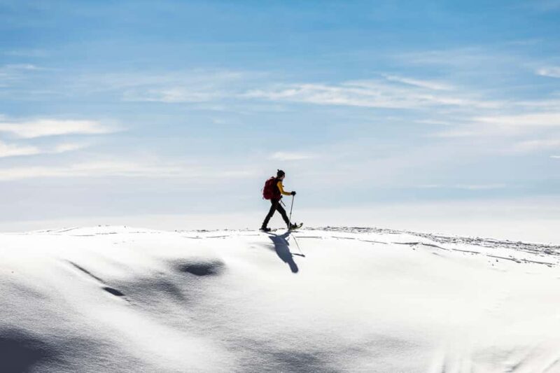Tromsø: Arctic Sightseeing & Snowshoeing with picnic - Guided Snowshoe Hike in the Frozen Landscape