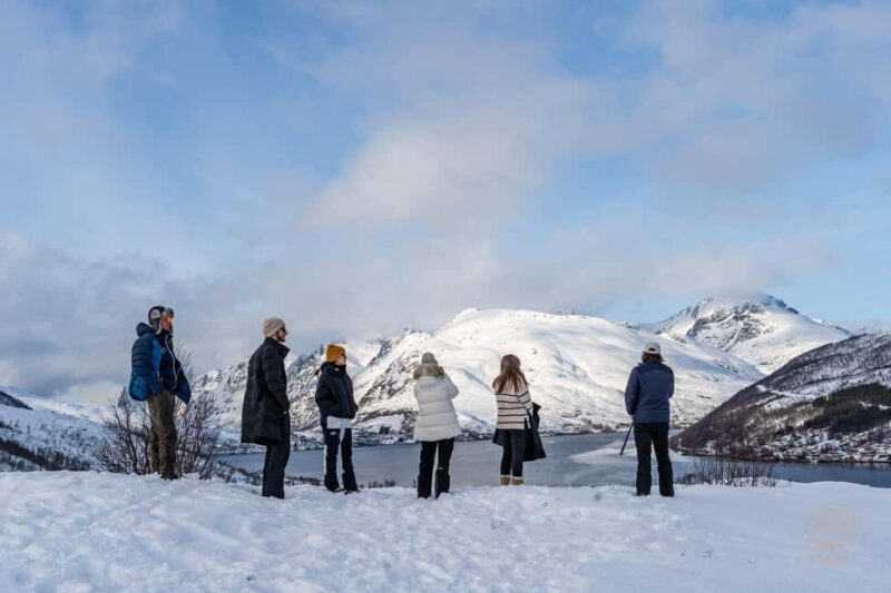 Tromsø: Arctic Sightseeing & Snowshoeing with picnic - Professional Photography to Capture the Arctic Moments