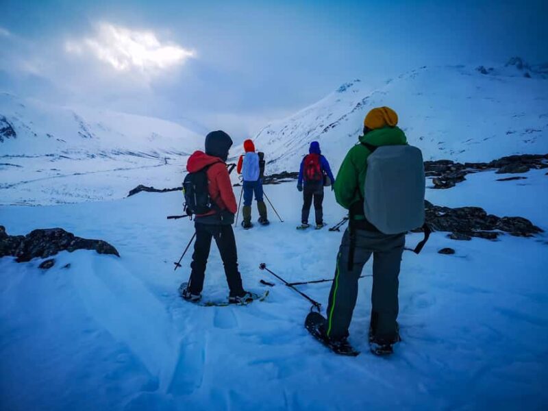 Tromsø: Arctic Snowshoeing Experience - Tromsøs Arctic Snowshoeing Adventure Offers Stunning Fjord Views and Wildlife Encounters