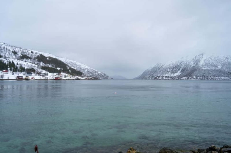 Tromsø: Artic Fjord tour - Practical Details: Meeting Point and Group Size