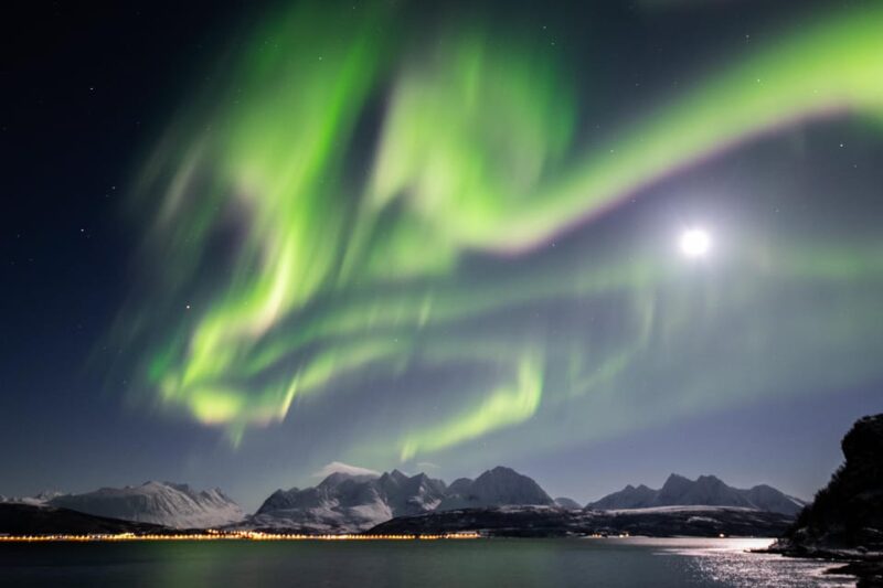 Tromsø: Aurora Borealis, Campfire, Hot Meal, Arctic Tour - Key Points