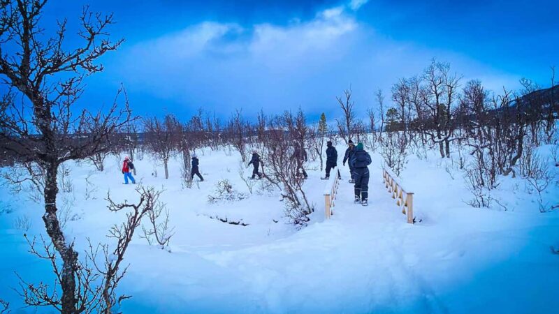 Tromsø: Aurora Crystal Lavvo Overnight Stay with Activities - Aurora Viewing and Nighttime Atmosphere