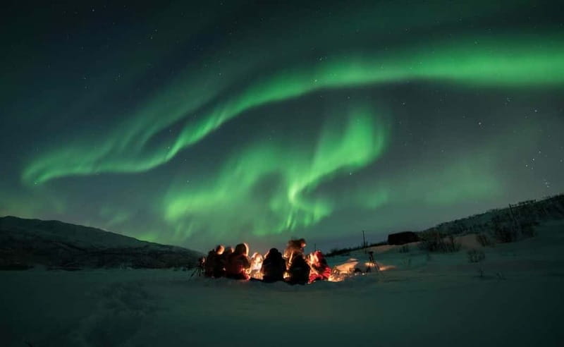 Tromsø: Aurora Hunt with Citizen Science - Meet in Tromsø at the Scandic Ishavshotel for the start of this Arctic adventure
