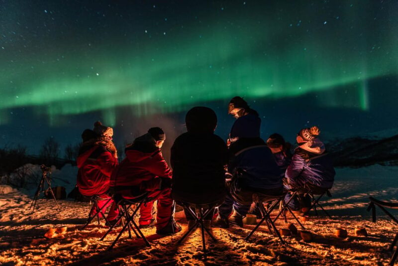 Tromsø: Aurora Tour with Campfire and Professional Photos - Warmth and Comfort in Arctic Conditions