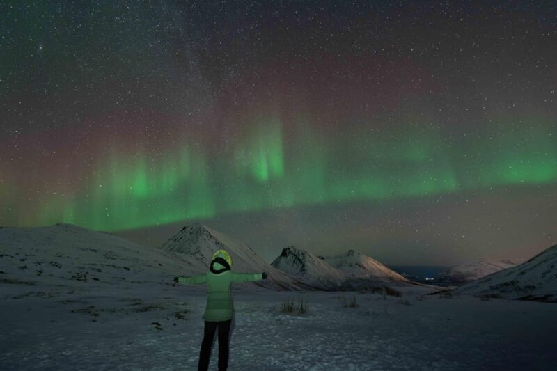 Tromsø: Aurora Tour with Campfire and Professional Photos - Food, Drinks, and Atmosphere at the Campfire