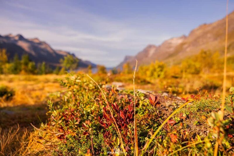 Tromsø: Authentic Lyngen Alps expedition with scenic lunch - Discover the Lyngen Alps Mountain Majesty and Glacial Landscapes