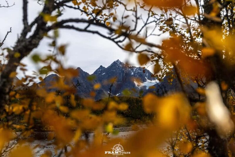 Tromsø: Authentic Lyngen Alps expedition with scenic lunch - A Warm Lunch with a View of the Mountains