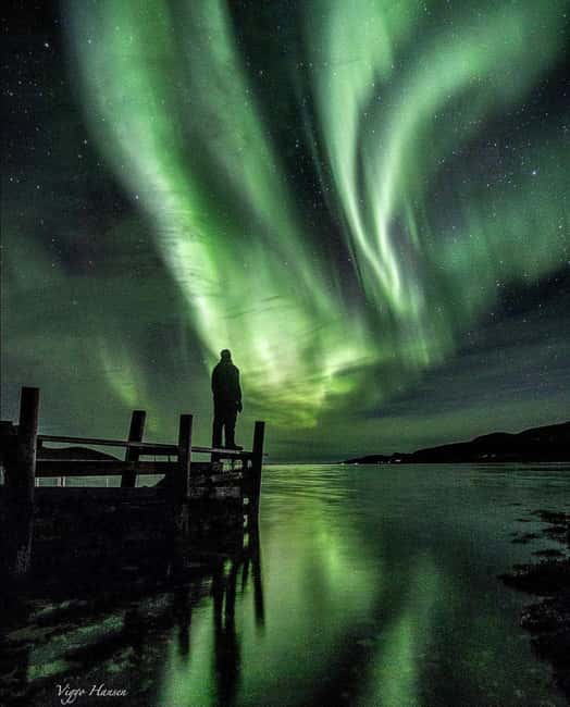 Tromsø: Big Bus Northern Lights Tour with Free Photos - The Expertise of Arctic Guides and Photographers