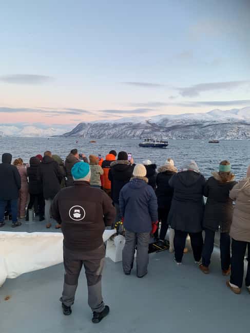 Tromsø Catamaran Whale Watching - Open Deck and Inside Viewing for Whale Sightings
