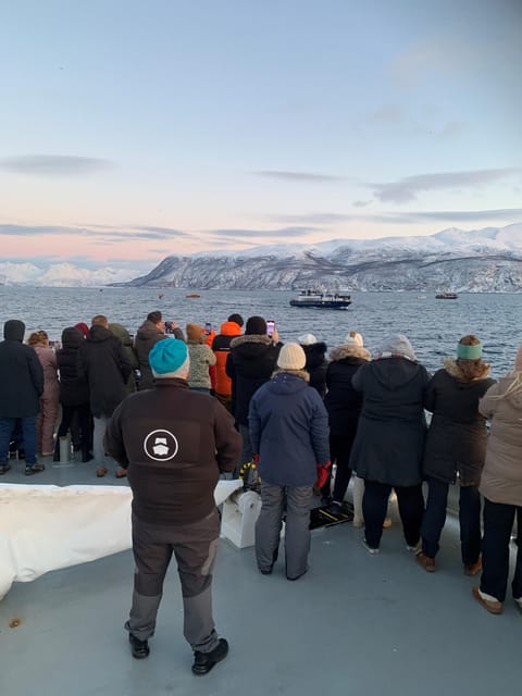 Tromsø Catamaran Whale Watching - Practical Tips for Participants