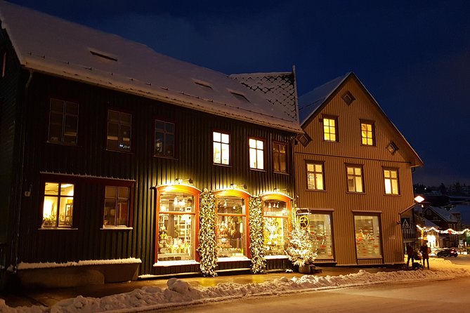 Tromsø City Walk - Highlights of Tromsø’s Key Landmarks and Stories