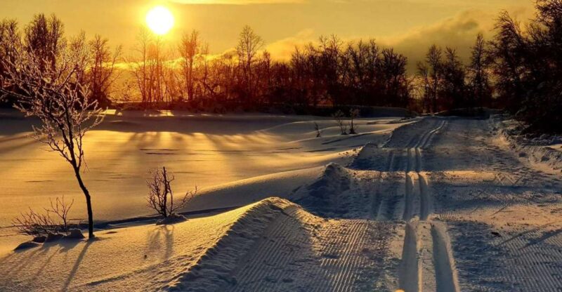 Tromsø: Cross Country Guided Skiing Course - Who Will Enjoy This Tour?