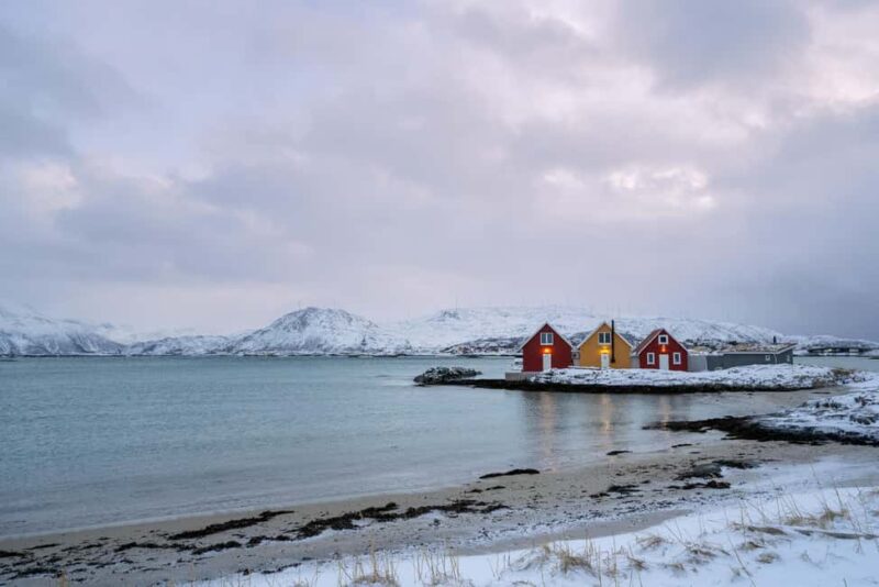 Tromsø: Divas Hit the Road 7 inspired Fjord Tour in Chinese - Wildlife Watching and Coastal Views Along the Arctic Road