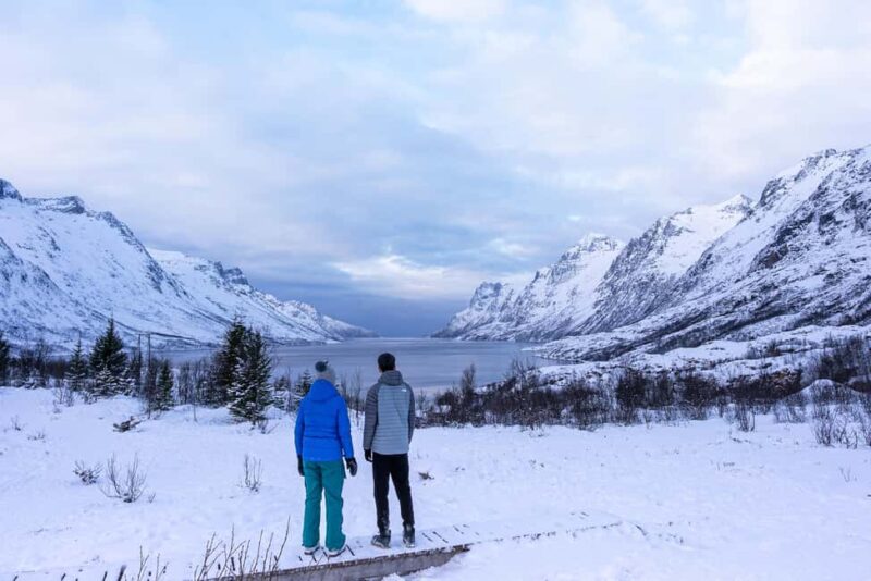 Tromsø: Divas Hit the Road 7 inspired Fjord Tour in Chinese - Why Choose This Arctic Fjord Tour?