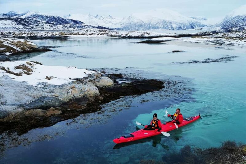 Tromsø: Easy-going Guided Winter Sea Kayaking Tour - Key Points