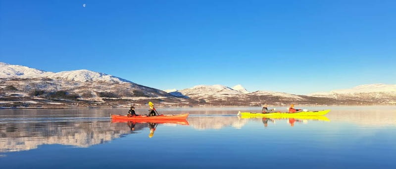 Tromsø: Easy Winter Kayaking Tour with Seal Watching - Key Points