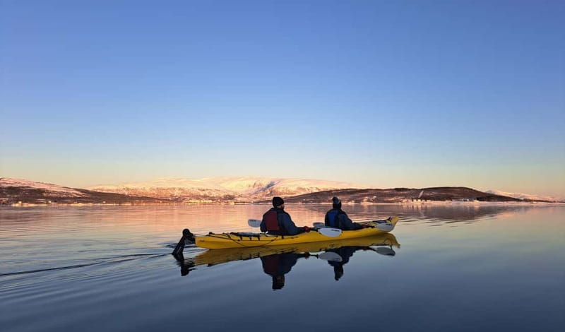 Tromsø: Easy Winter Kayaking Tour with Seal Watching - How the Tour Starts in Tromsø and the Eco-Friendly Journey Begins
