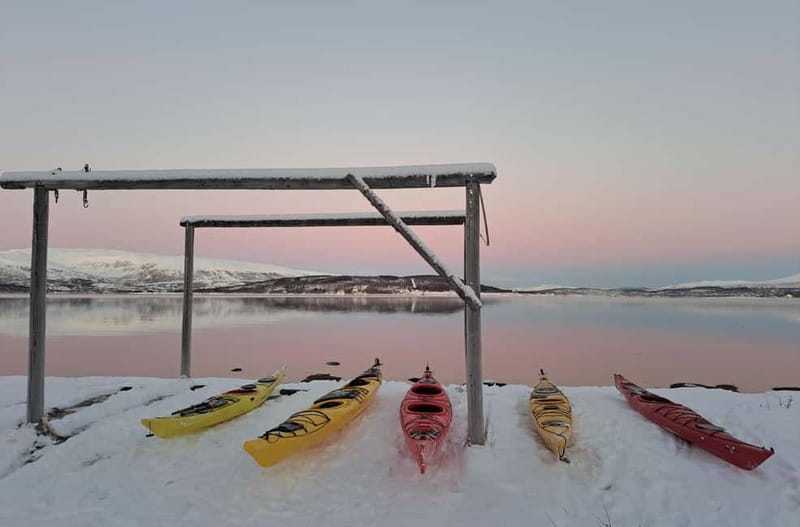 Tromsø: Easy Winter Kayaking Tour with Seal Watching - Polar Night Colors and Mountain Views in Winter