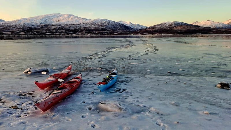 Tromsø: Easy Winter Kayaking Tour with Seal Watching - The Shore Break and Warm Snacks
