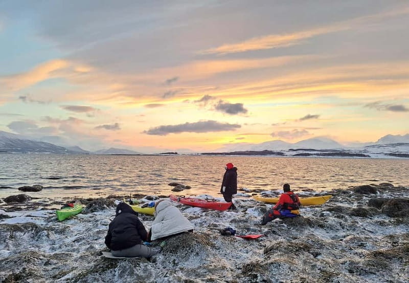 Tromsø: Easy Winter Kayaking Tour with Seal Watching - Gear, Safety, and Practical Tips for a Cozy Kayaking Experience