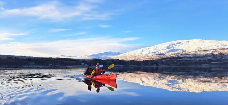 Tromsø: Easy Winter Kayaking Tour with Seal Watching - The Importance of Weather Conditions and Flexibility