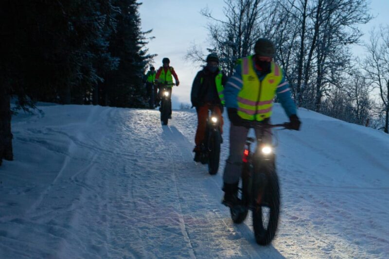 Tromsø: Electric fatbike trip on winter paths - Key Points