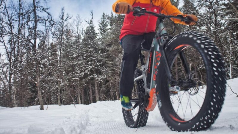 Tromsø: Electric fatbike trip on winter paths - Riding Through Tromsømarka: City to Forest Trails