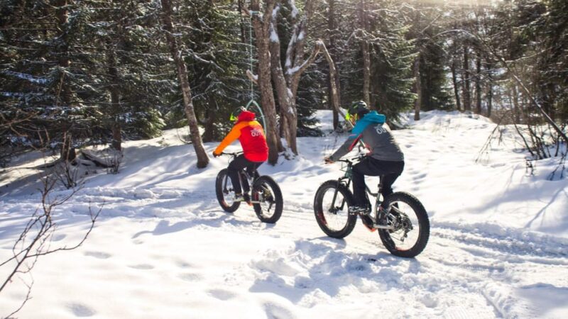 Tromsø: Electric fatbike trip on winter paths - Cozy Break with Hot Drinks and Traditional Lefse